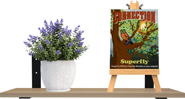 植物